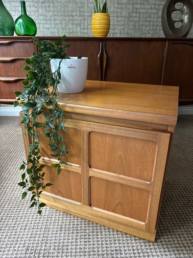 Vintage Retro Mid CenturyTeak Record Cabinet