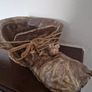 potter boot plant pot Image 2