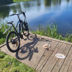 Electric vivi bike 500w 48v