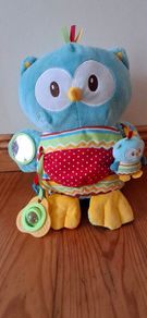 Early Learning Centre (ELC) Blossom Farm Owl Activity Toy