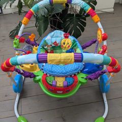 Baby Einstein Neighborhood Friends Activity Jumper with Lights and Music