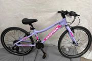 new 24" kids allot pink