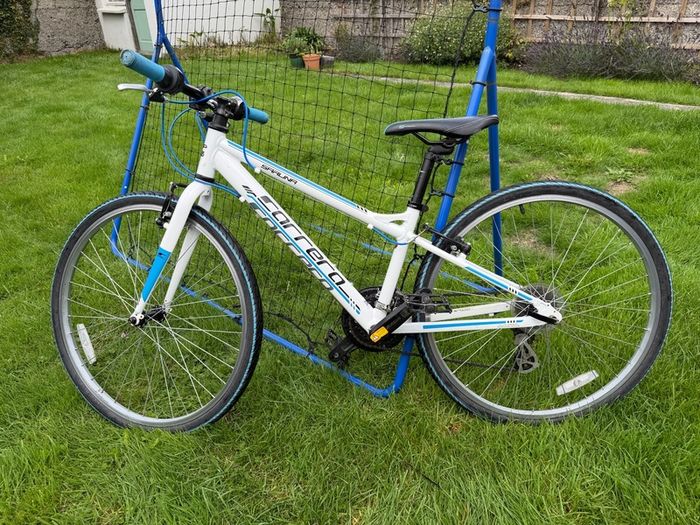 Carerra Saruna Bike