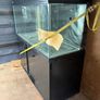 fishtank project Image 4