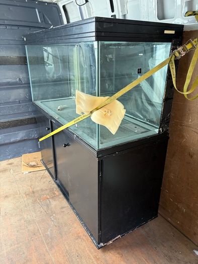 fishtank project