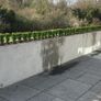 Box Hedging Image 3