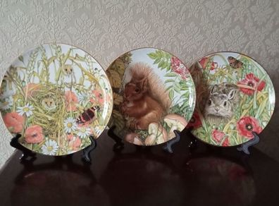 Hudson Middleton Fine Bone China Collectors Decorative Plates
