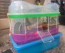 Hamster Cage
