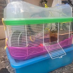 Hamster Cage