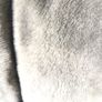 Carhartt mens reversible jacket Image 5