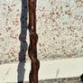 For Sale: Authentic Handcrafted Vine-In Irish Walking Stick 98cm Image 2