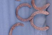Vintage Forged Iron Horse Shoes