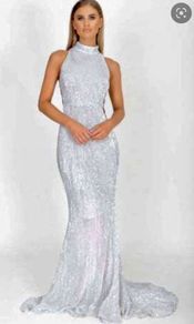 Amazing Sparkle Sequin Silver Dress