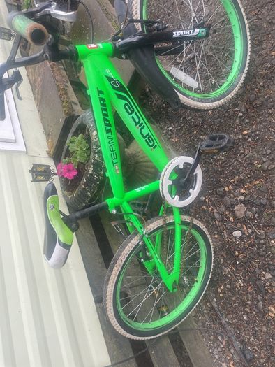 boys 20inc bike