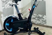 Large 20kg Wheel Bodymax Exercise Bike Life Time
