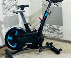 Large 20kg Wheel Bodymax Exercise Bike Life Time