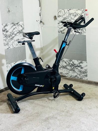 Large 20kg Wheel Bodymax Exercise Bike Life Time