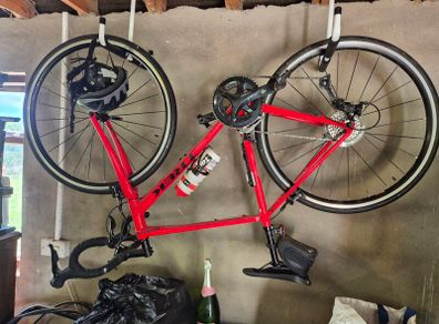 Trek Domane AL3 Good As New