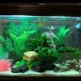 120L fish tank Image 7
