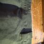 Sherwood Forester trouser Image 9