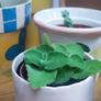 Indoor Plants Image 4