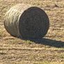 Round bales of hay Image 2