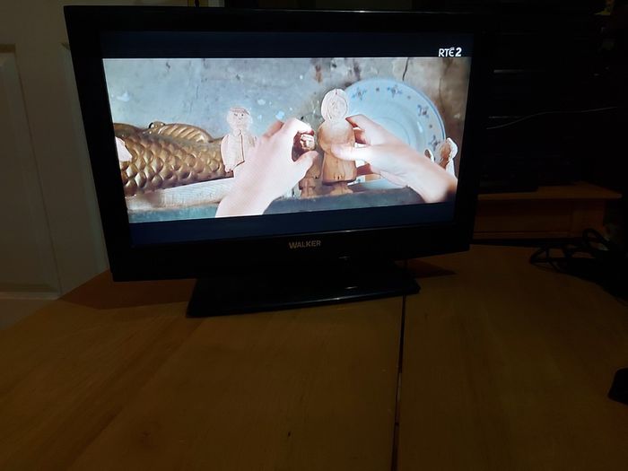 Walker 19 inch TV Model WP1940DCD, comes with remote control