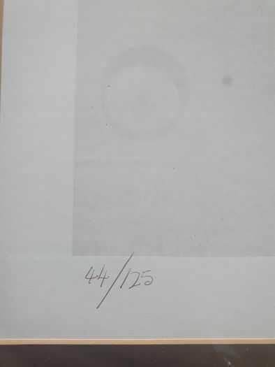 Lithograph. Renowned Cork Artist, William Harrington.
