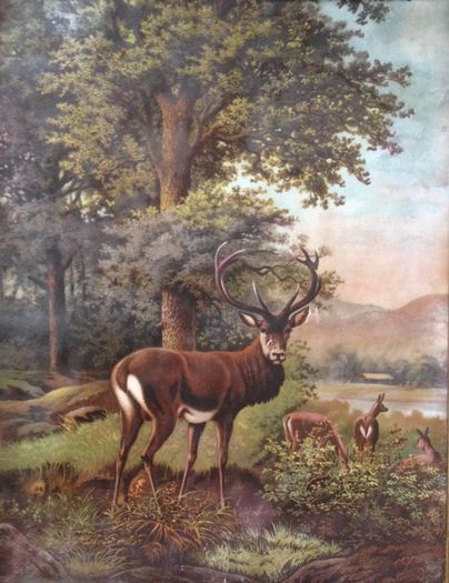 19th century chromolithograph