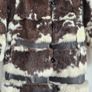 Vintage Fur Coat Image 2