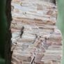 Dolomite Slab Rolling Hills Dolomite Image 5