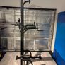Sportsroyal pull-up bar Image 2