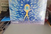 Sinead o'Connor universal mother sealed vinyl