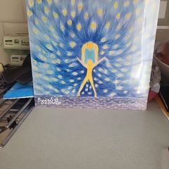 Sinead o'Connor universal mother sealed vinyl