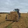 Square bales of hay and Straw Image 6