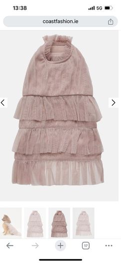 Dog dress and pearl lead for wedding