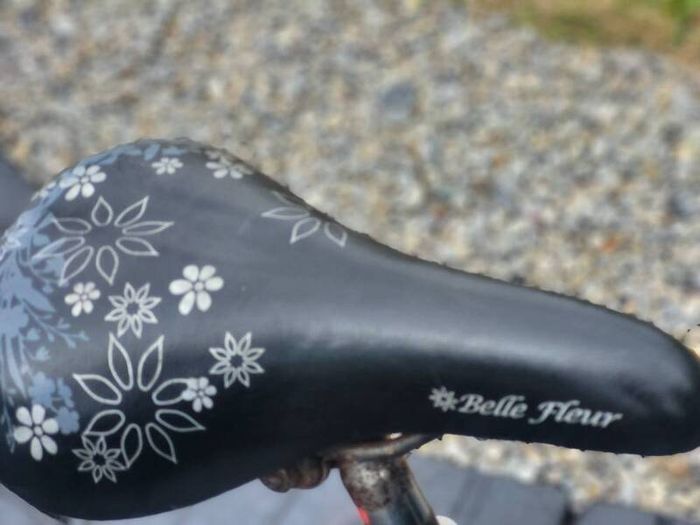 Ladies Bike Ready To Use