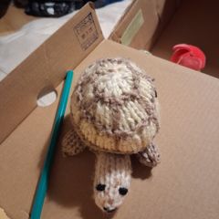 hand knit turtle