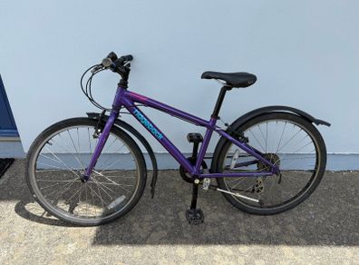 Bicycle Ridgeback 24
