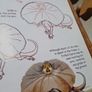 How to Draw Australian Wildlife In Very Good Condition From Pet Smoke Free Home Lots Of Books Listed For 1 2 3 Euro Image 5