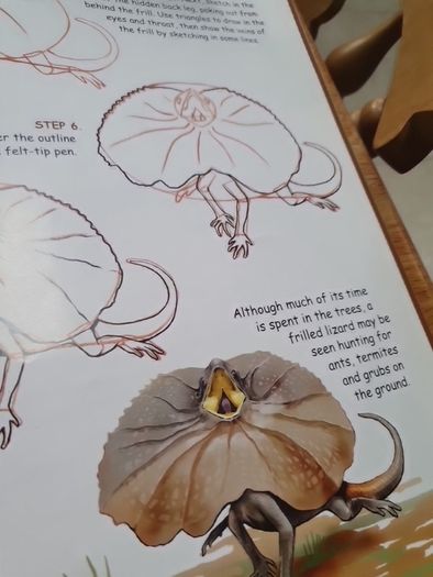 How to Draw Australian Wildlife In Very Good Condition From Pet Smoke Free Home Lots Of Books Listed For 1 2 3 Euro