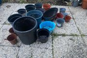 plant pots