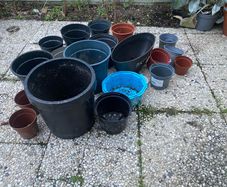 plant pots