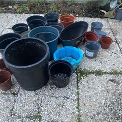 plant pots