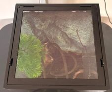 Terrarium