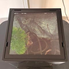 Terrarium
