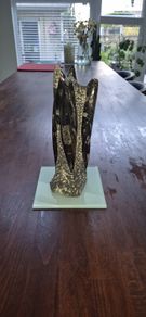 Fossil Orthoceras