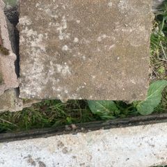 Bricks