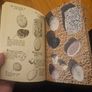 The Pebel On The Beach. Clarence Ellis. 1974 Paperback In Good Condition. See Photos For Same Image 8
