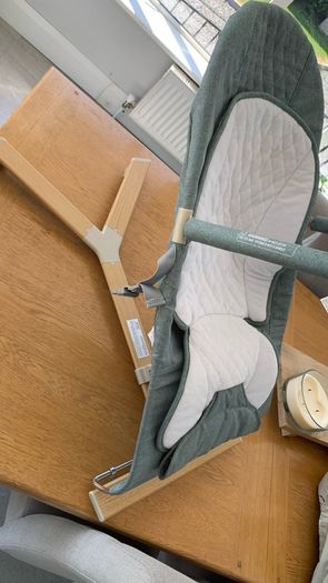 Nested Gravity Bouncer (Excellent Condition in box)